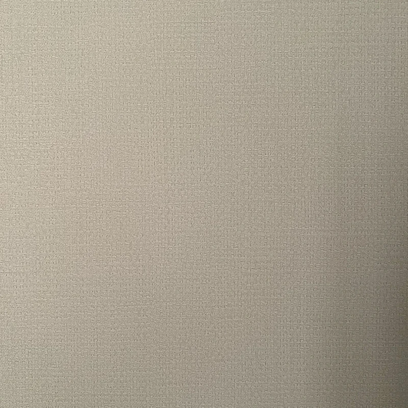 NEX1000