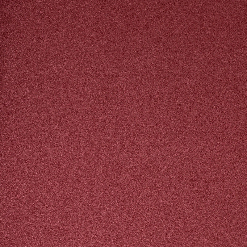 NEX2509