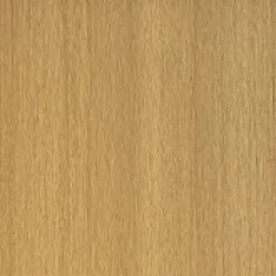 NEX1522-260